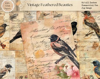 Vintage Feathered Beauties Junk Journal Pages, Digital Scrapbook Paper, Bird Printable, Collage Sheet, Bird Ephemera, Digi Papers