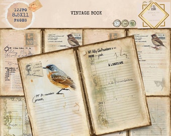 Junk Journal Printable, Vintage Old Pages Junk Journal, Vintage Junk Journal Digi Kit, Digital Crafts, Bird Journal, Printable Journal