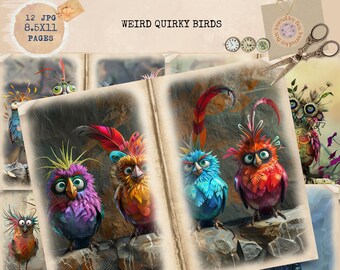 Weird Quirky Birds Junk Journal, Bird Pages, Funny Birds Junk Journal , Bird Lovers Junk Journal, Digi Kit, Printable Journal, Digital Craft