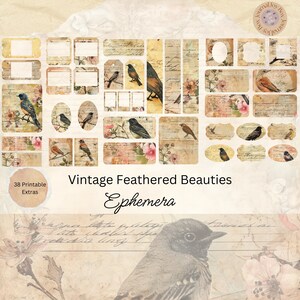 Biglietti effimeri Vintage Feathered Beauties, confezione da 38 mini extra, biglietti effimeri stampabili per amanti degli uccelli, carta da artigianato, collage digitale, 11 x 8,5
