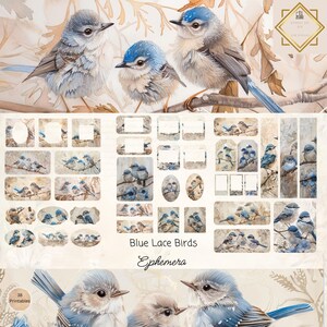Vintage Blue Lace Birds kortstondige kaarten, 38 minipakket extra's, vogels afdrukbare kortstondige vogels, papierkunst, digitale collage, 11 x 8,5, digitaal handwerk