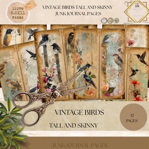 Pagine di diario vintage con uccelli, diario della natura, stampabili con uccelli e fiori, pagine di scrapbooking alte e magre, pagine vintage