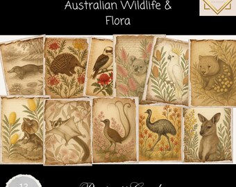 Australian Wildlife Junk Journal Cards, Vintage Animal & Botanical Portrait Printable, Nature Ephemera for Scrapbooking and Journals