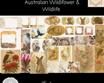 Australian Wildlife Ephemera Pack, Vintage Flora & Fauna Junk Journal Printable, Kangaroo, Koala, Bird and Nature Collage Sheets