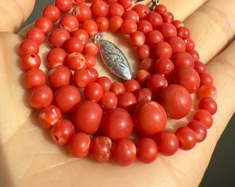 Antique natural Japanese red/blood coral necklace. Natural red color. Untreated