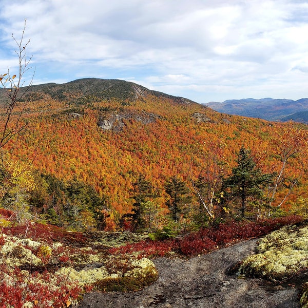 Adirondack Autumn, Upstate New York Fall Foliage Photography Print
