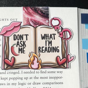 Dark Romance Magnetic Bookmark for Reading Accessory Gift for Women Book Lover Gift Idea for Smut Lover Book mark book club Birthday gift