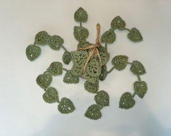 Crochet Monstera Hanging Vine Plant