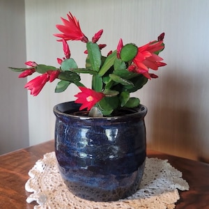 Plant pot