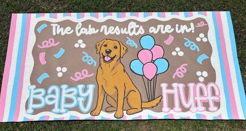 May include: A rectangular banner featuring a brown Labrador retriever illustration, pink and blue balloons, and confetti. The text reads "The lab results are in!" at the top and "Baby Huff" at the bottom. The border has pink and blue stripes.