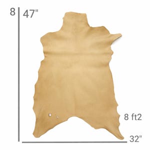Vegetable Tanned Goatskin Leather: Natural Full Grain Hide (9-12 sqft, 1.2mm) image 10