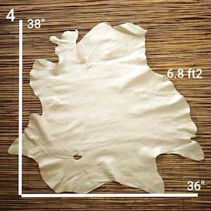 May include: A cream-colored leather hide, approximately 38 inches by 36 inches, with a surface area of 6.8 square feet. The hide has irregular edges and a natural, organic shape. The background is a woven bamboo mat.
