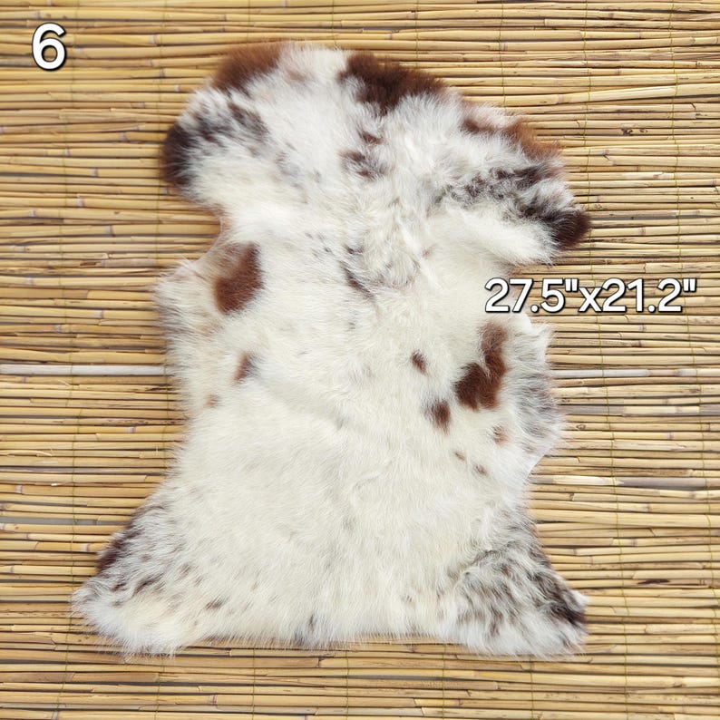 May include: A cowhide rug with a white base and brown spots. The rug measures 27.5 inches by 21.2 inches. The number 6 is in the upper left corner.