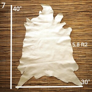 May include: A cream-colored leather hide, approximately 40 inches long and 30 inches wide, with an area of 5.8 square feet. The hide is irregularly shaped with a natural edge. The background is a woven bamboo mat.