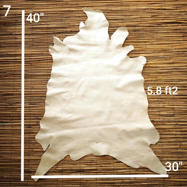 May include: A cream-colored leather hide, approximately 40 inches long and 30 inches wide, with an area of 5.8 square feet. The hide is irregularly shaped with a natural edge. The background is a woven bamboo mat.
