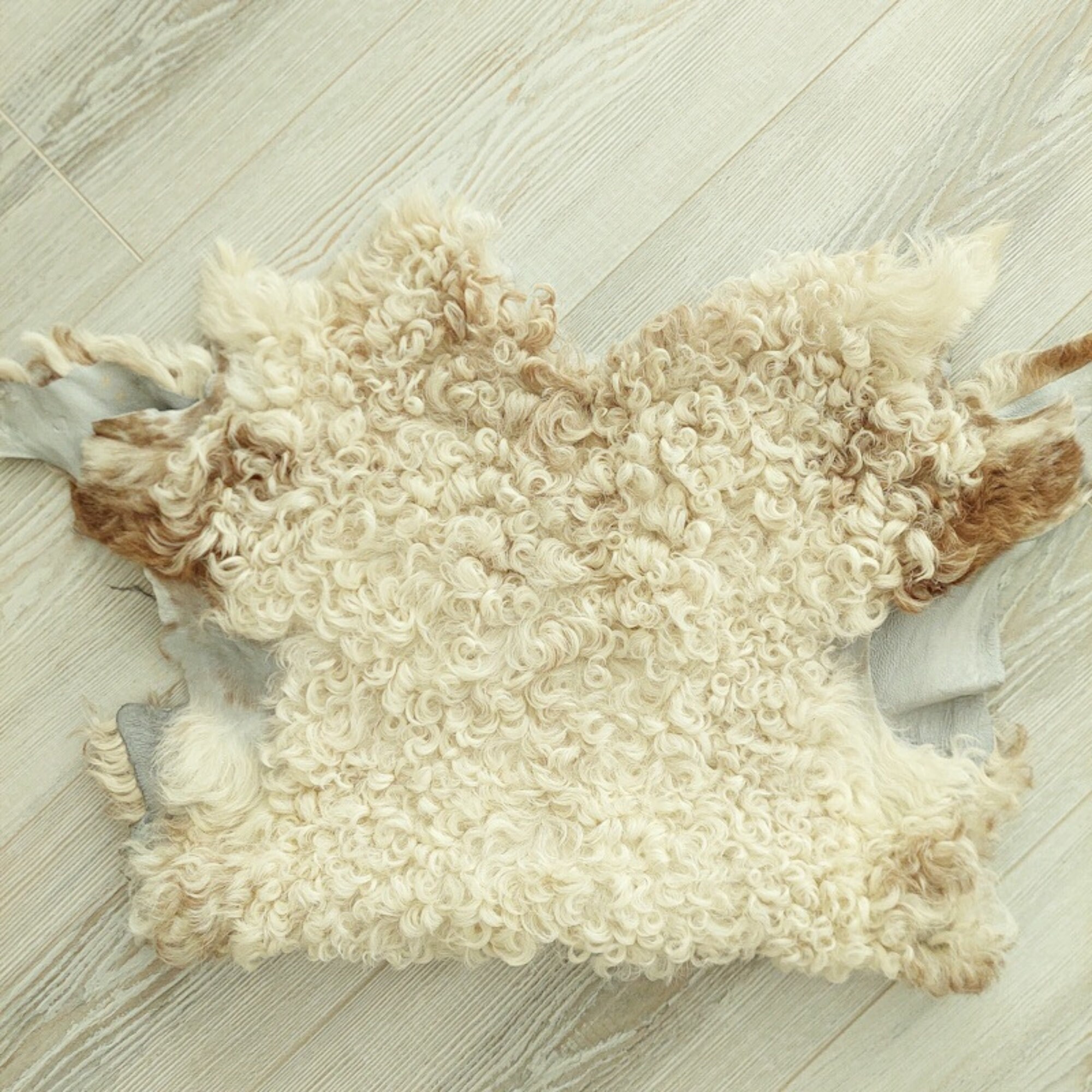 Curly Natural Sheepskin Throw Rug, Mothers Day Gift, Genuine Tigrado ...