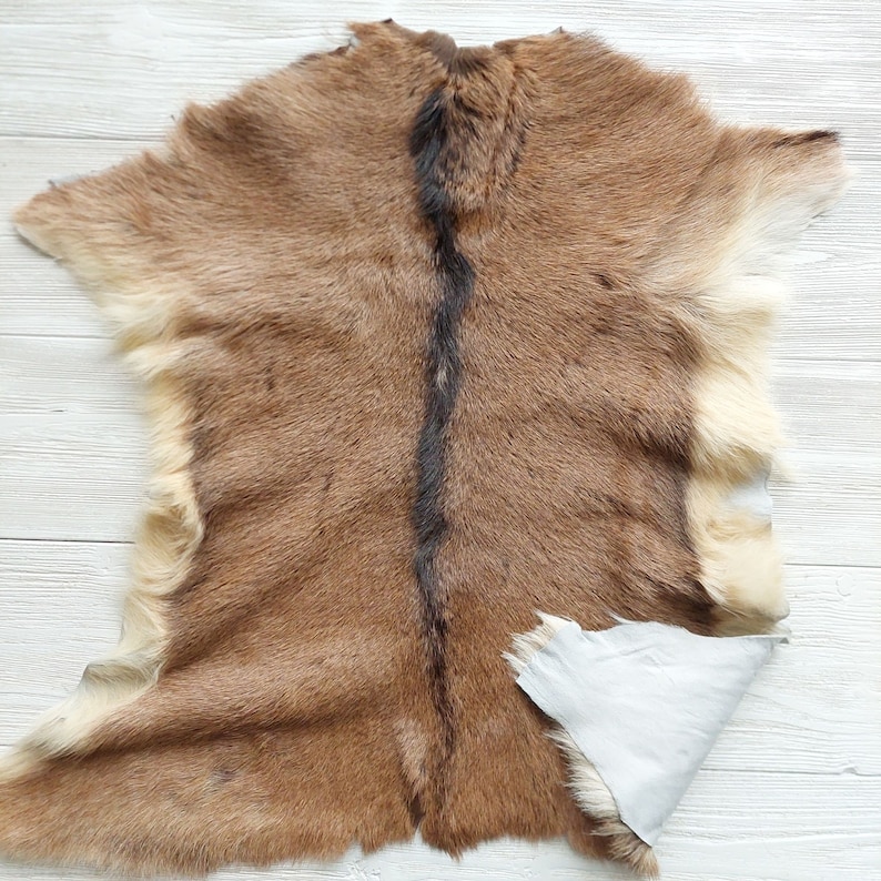 Genuine Exotic Goat Hide Throw Hair On, Natural Goatskin Fur, Tanned Baby Goat Pelt Rug, Luxury Home Floor Decor, Silky Touch Pelt image 5