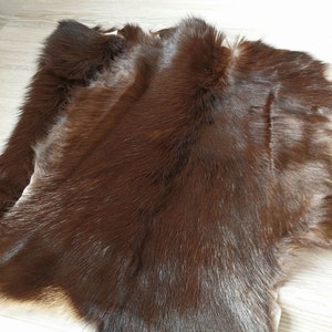 May include: A brown fur pelt with a soft, dense texture. The fur is long and silky, with a slight sheen.