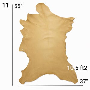 Vegetable Tanned Goatskin Leather: Natural Full Grain Hide (9-12 sqft, 1.2mm) image 13