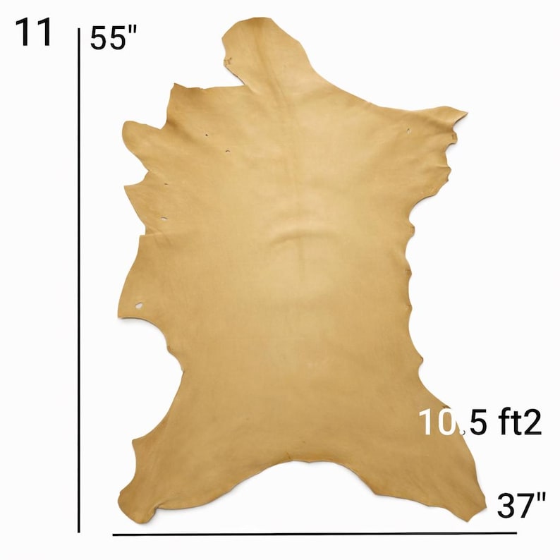 Vegetable Tanned Goatskin Leather: Natural Full Grain Hide (9-12 sqft, 1.2mm) image 13