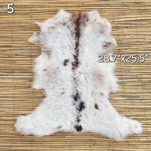 May include: A white and brown sheepskin rug, measuring 28.7" x 25.5". The rug has a natural, irregular shape with a central brown stripe and scattered brown spots. The number "5" is in the upper left corner.