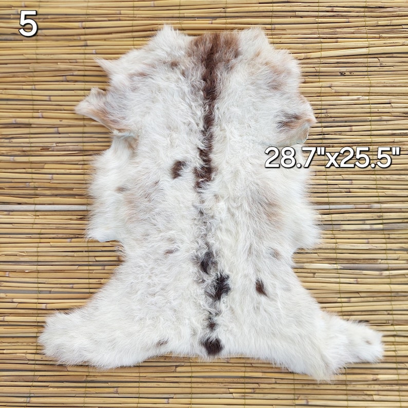 May include: A white and brown sheepskin rug, measuring 28.7" x 25.5". The rug has a natural, irregular shape with a central brown stripe and scattered brown spots. The number "5" is in the upper left corner.