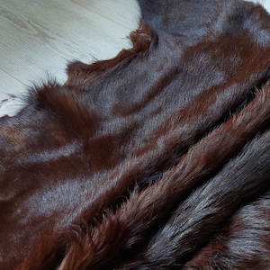 May include: A close-up of a brown fur hide. The fur is soft and fluffy, with a natural sheen. The hide is folded in half, revealing the underside.