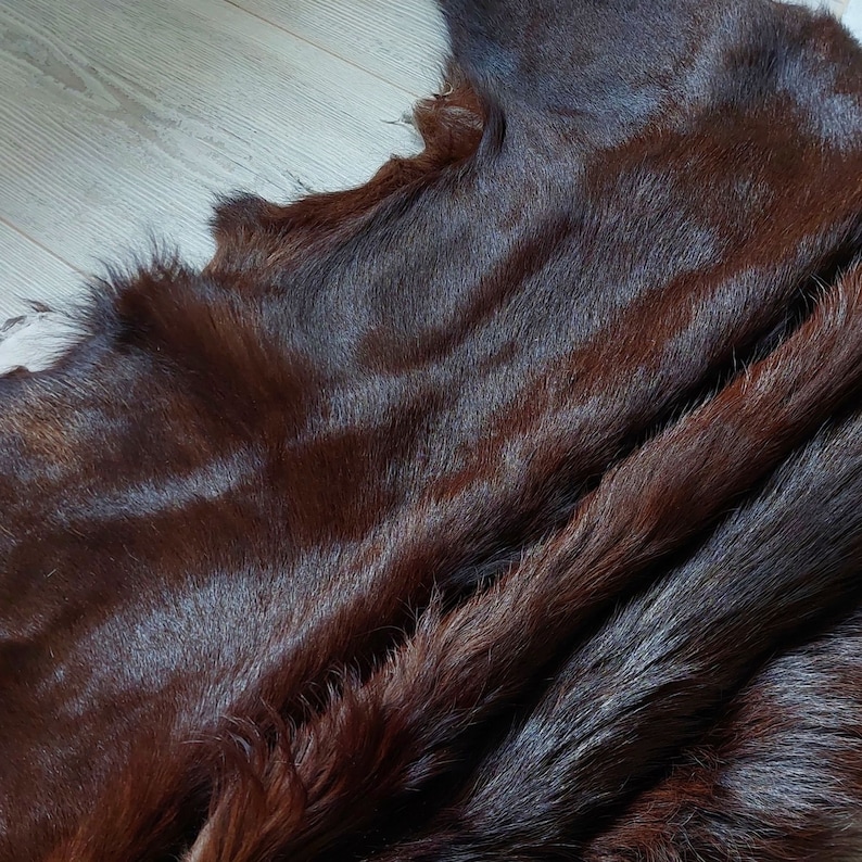 May include: A close-up of a brown fur hide. The fur is soft and fluffy, with a natural sheen. The hide is folded in half, revealing the underside.
