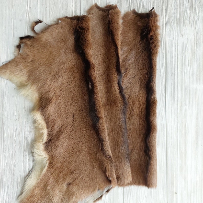 Genuine Exotic Goat Hide Throw Hair On, Natural Goatskin Fur, Tanned Baby Goat Pelt Rug, Luxury Home Floor Decor, Silky Touch Pelt image 9