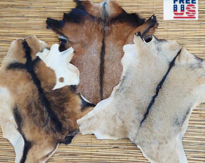 2x3 Hide Rug Natural Decorative Goat Hide Rug, Genuine Goat Skin for Rustic & Modern ...