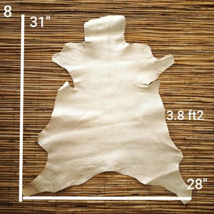 May include: A beige leather hide, approximately 31 inches long and 28 inches wide, with a surface area of 3.8 square feet. The hide is irregularly shaped with natural edges, and is displayed against a textured, light brown background.