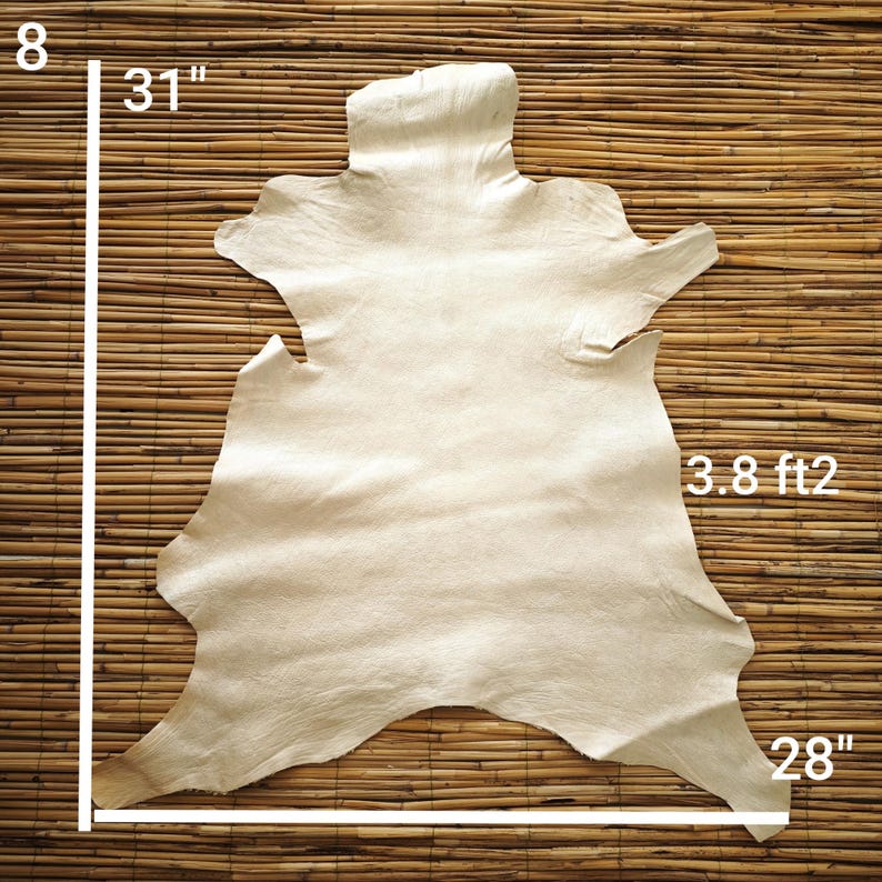 May include: A beige leather hide, approximately 31 inches long and 28 inches wide, with a surface area of 3.8 square feet. The hide is irregularly shaped with natural edges, and is displayed against a textured, light brown background.