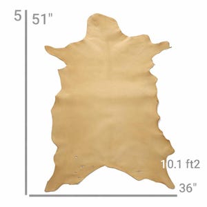 Vegetable Tanned Goatskin Leather: Natural Full Grain Hide (9-12 sqft, 1.2mm) image 7