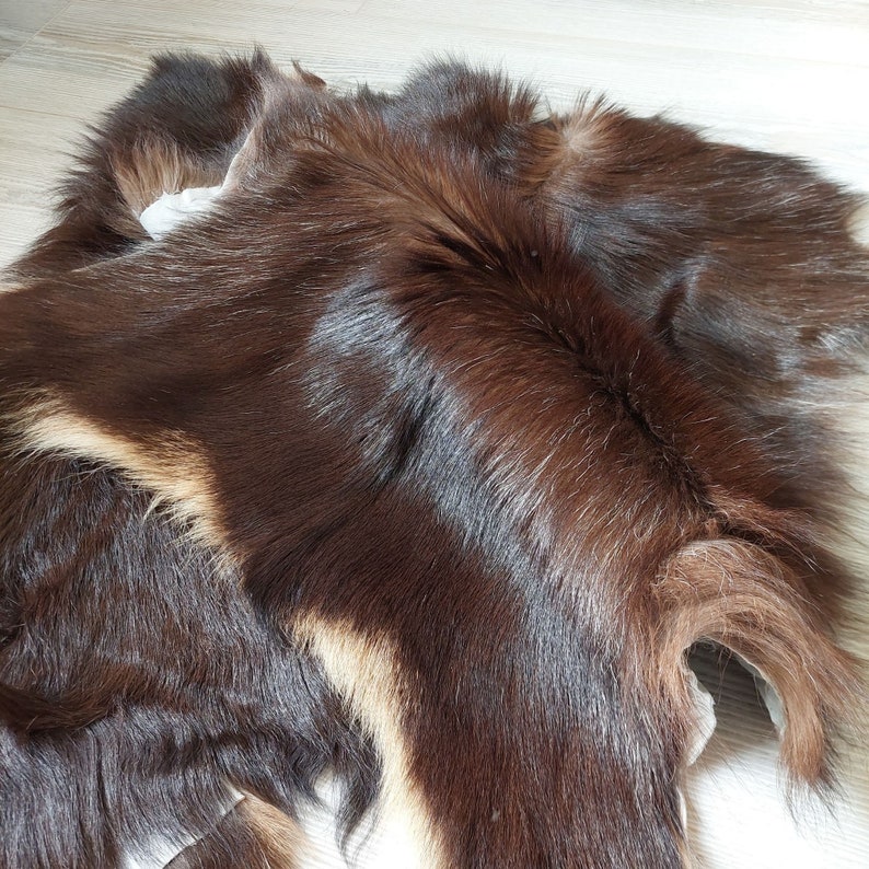 May include: A brown and white fur pelt with long, soft fur. The fur is thick and luxurious, and the pelt is in good condition.