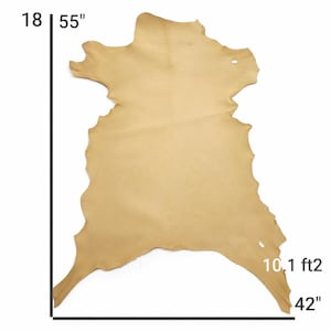 Vegetable Tanned Goatskin Leather: Natural Full Grain Hide (9-12 sqft, 1.2mm) image 20