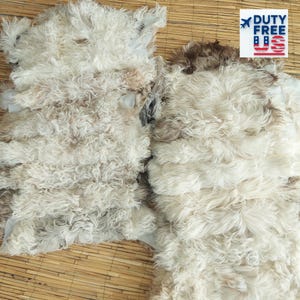 Peut inclure: Deux peaux de mouton blanc cassé et marron avec un aspect laineux texturé et bouclé. Les tapis sont posés sur une surface tissée brun clair. L'image comprend un logo "DUTY FREE US" dans le coin supérieur droit.