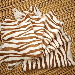 May include: Several zebra-striped hides are fanned out, showcasing a pattern of brown and white stripes. The hides have a natural, textured appearance, with visible fur and irregular edges. The hides are arranged on a light brown, woven surface.