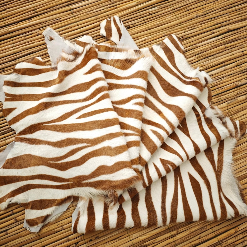 May include: Several zebra-striped hides are fanned out, showcasing a pattern of brown and white stripes. The hides have a natural, textured appearance, with visible fur and irregular edges. The hides are arranged on a light brown, woven surface.