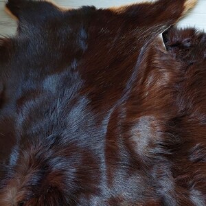 May include: A close-up of a brown cowhide rug with a soft, fuzzy texture.