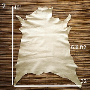 May include: A cream-colored, irregularly shaped leather hide, approximately 40 inches by 32 inches, with a surface area of 6.6 square feet. The hide is displayed against a textured, light brown background.