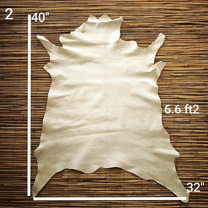 May include: A cream-colored, irregularly shaped leather hide, approximately 40 inches by 32 inches, with a surface area of 6.6 square feet. The hide is displayed against a textured, light brown background.