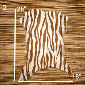 May include: A zebra-striped hide rug, measuring 26 inches long and 18 inches wide. The rug features a pattern of brown stripes on a white background. The hide is displayed on a bamboo mat.