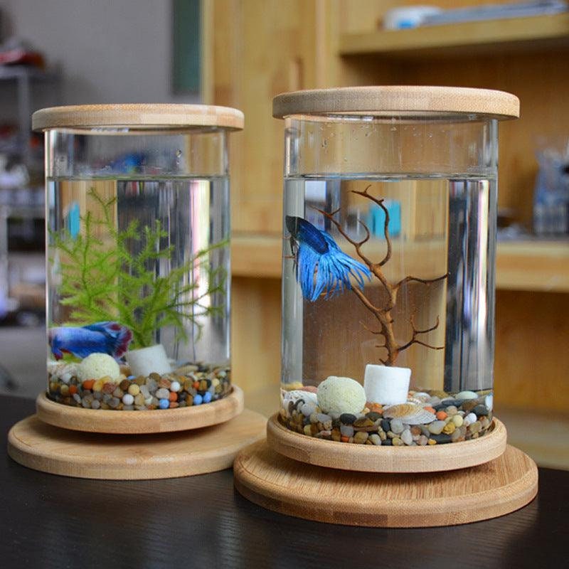 Small Fish Tank -  Canada