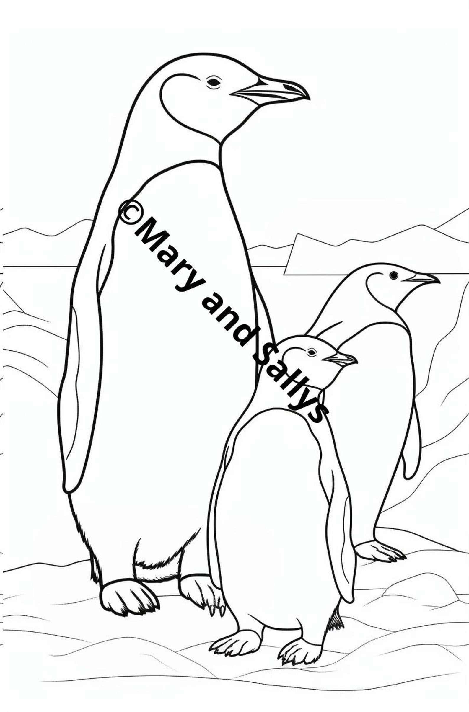 Coloring Page, Coloring Template, Animals, Penguins for Coloring High ...