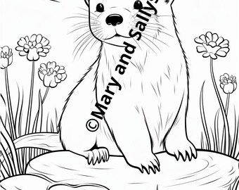 Coloring page, coloring template, animals, otters for coloring - high quality