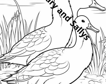 Coloring page, coloring template, animals, geese for coloring - high quality