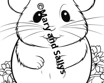 Coloring page, coloring template, animals, hamsters for coloring - high quality