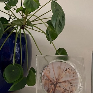 Wiesenthalhut Design glass photo frame