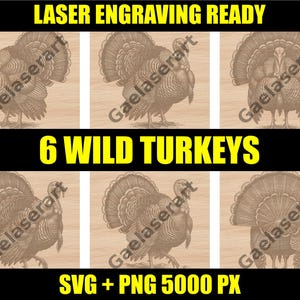May include: A digital design featuring six detailed illustrations of wild turkeys in various poses. The image includes the text "LASER ENGRAVING READY", "6 WILD TURKEYS", and "SVG + PNG 5000 PX". The turkeys are brown and set against a light wood grain background.