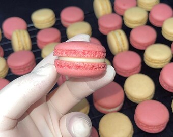 Frische Macarons